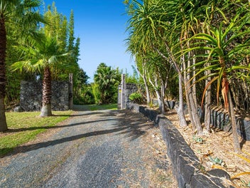 Spring Opportunity - Urban Oasis, Future Upside!