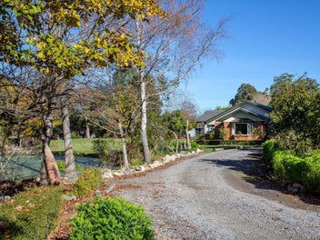 Homebush haven, you can't beat this location!