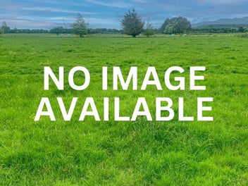 Two bare land blocks in Pohangina