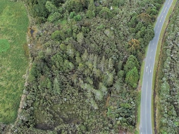 Create your dream haven in Charleston's nature