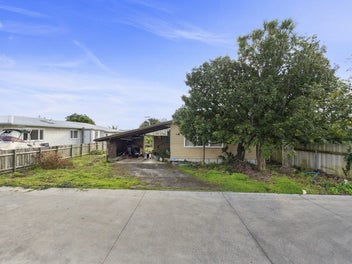 Land Goldmine in Mangere Bridge