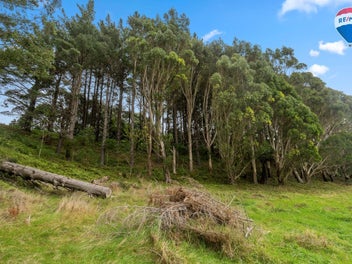 Off-Grid Lifestyle Retreat – Maungakotukutuku