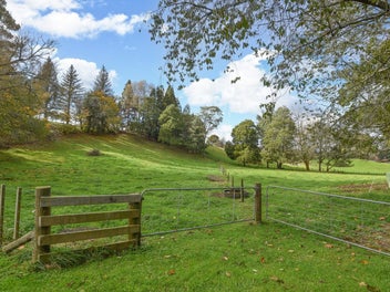 Incoming Earning and Options Galore