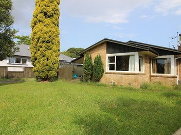 Image 1 of 11