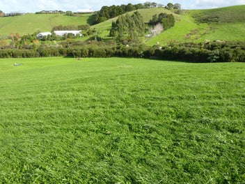 Luxury Lifestyle Living in Matakana