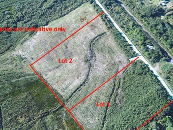 Bare land, endless potential