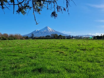 Image 1 of 33