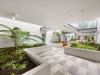 Bright & Modern Mt Eden Gem