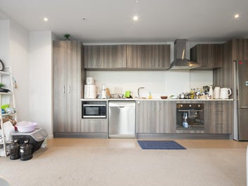 Modern Apartment in Central Albany