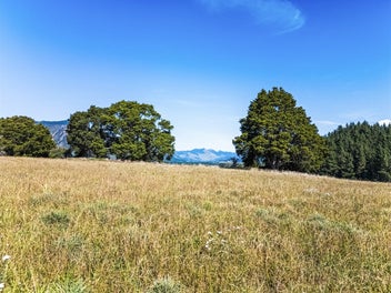 Transform Your Vision on 12.71 Hectares