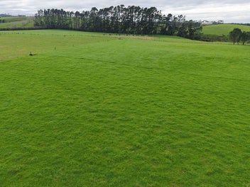 3.19ha Volcanic Flat Bare Land