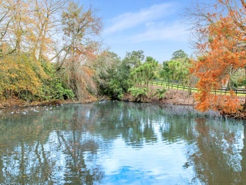 Escape to Total Privacy, Peace and Quiet! (2.0...