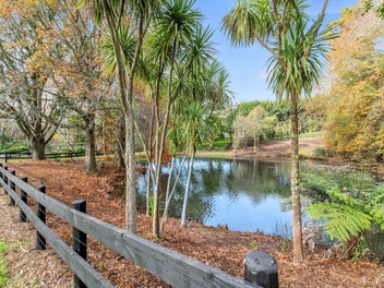 The Ultimate Canvas. No Limits. No Covenants.