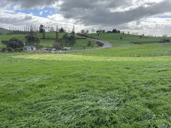 Image 1 of 12