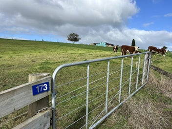 Tidy section, no covenants, motivated vendor!