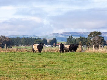 Prime lifestyle opportunity - location and views