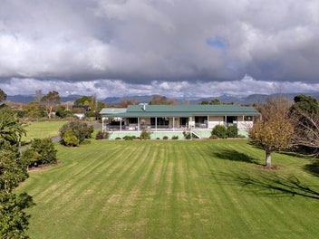 Image 1 of 44
