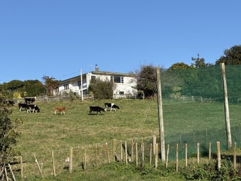 Image 1 of 16