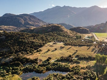 Nature's Timeless Beauty