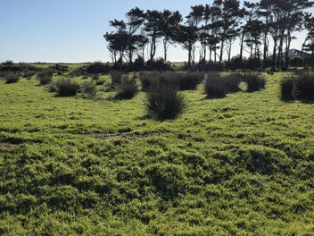 2.42ha Resource Consented - 4 Lifestyle Sections