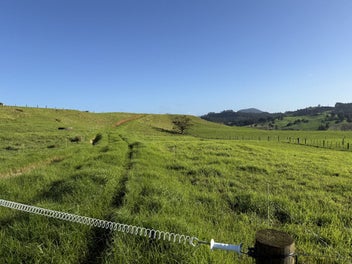 Build, Farm, or Bank - Maungakaramea Land on Offer