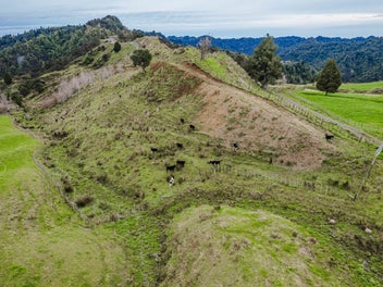Image 1 of 22
