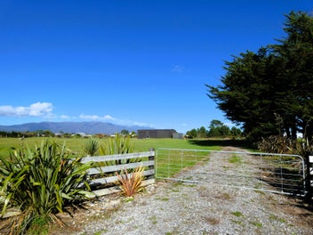 Image 1 of 12