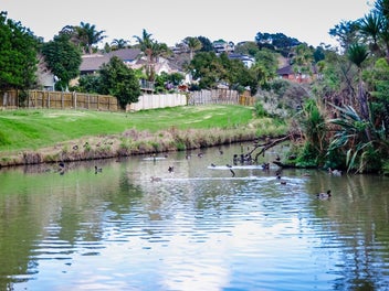 Your New Home Next to the Reserve