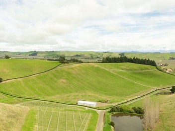 Image 1 of 5