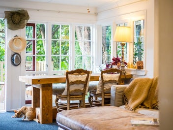 Your Treetop Haven