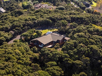 Treetop Retreat with Water Views