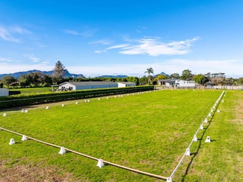 Horsing Around? Your Equestrian Dream Awaits!