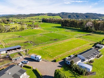 Horsing Around? Your Equestrian Dream Awaits!