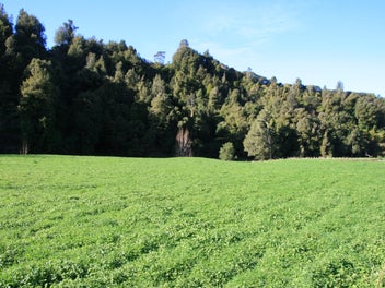 Image 1 of 34