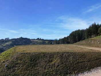 Elevation and views with few covenants!