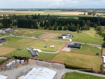 Kakariki view