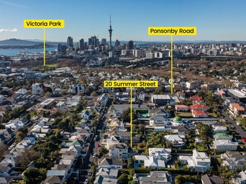 Potential Plus - Grey Lynn Gem