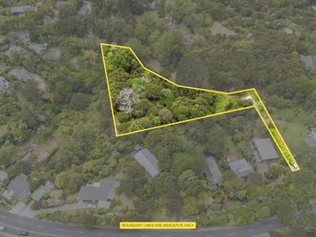 TITIRANGI TREEHOUSE OPPORTUNITY