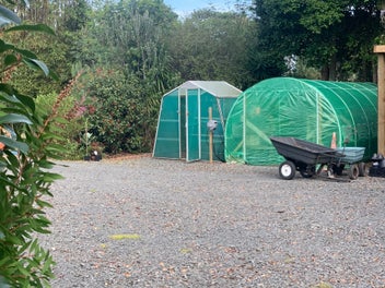 Home & income 2ha lifestyle, contractors yard