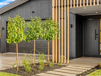 Dressed to Impress - Motivated Vendors Say Sell!