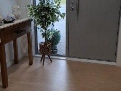 Design that speaks modern elegance