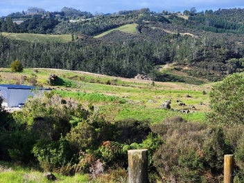 PICTURESQUE LIFESTYLER WITH 120SQM SHED