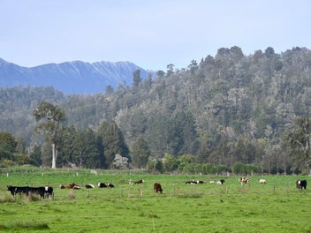 Image 1 of 30