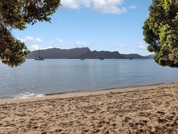 Image 1 of 36