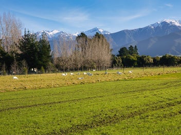 5-Acre Bare Land With Panoramic Mountain Views
