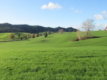 Rare Opportunity – 6.6 Hectares of Prime...