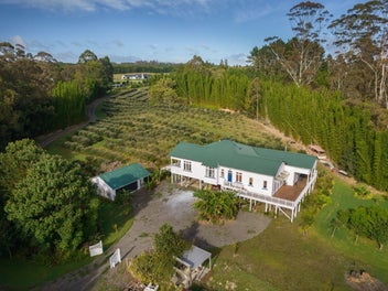 Big price drop, vendors must sell!