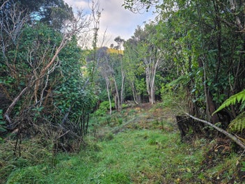 Image 1 of 7