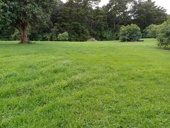Image 1 of 15