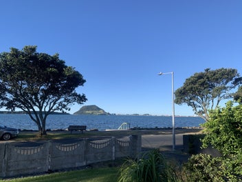 Image 1 of 17